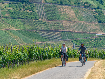 Durch das Rebenmeer zwischen Thörnich und Köwerich